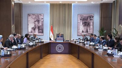 رئيس الوزراء يتابع موقف مشروعات إنتاج الهيدروجين الأخضر