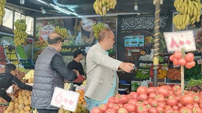 محافظ الدقهلية يتابع حملات التفتيش بحي شرق المنصورة