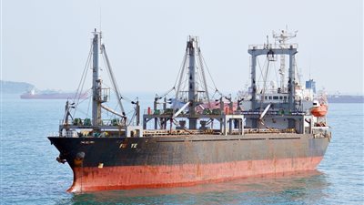  ميناء سفاجا يستقبل 1700 راس عجول حية بوزن 510 طن 