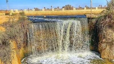 مائل للحرارة نهارا معتدل ليلا واستمرار نشاط الرياح بالفيوم 