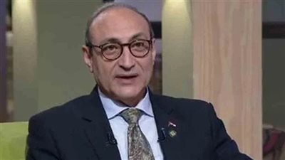 سمير عبد الوهاب لحملة الدفاع عن الحضارة: المدخل الجديد للهرم عائق للمجموعات السياحية