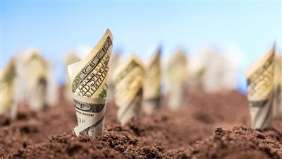  الحكومة توافق على تخصيص قطع أراضي لشركات بنظام البيع بالدولار الأمريكي 