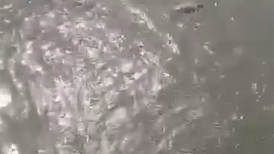 العثور على جثمان شخص مجهول الهوية ببحر كفر داود في المنوفية