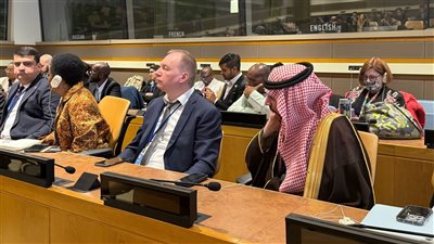 استعراض التجربة المصرية في تنمية الأسرة خلال الدورة 58 للسكان والتنمية بالأمم المتحدة