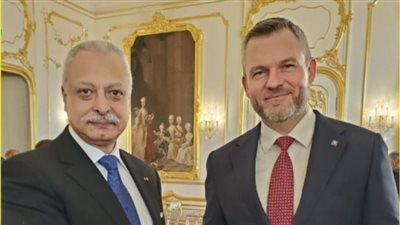 تفاصيل لقاء سفير مصر في سلوفاكيا مع رئيس الجمهورية