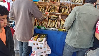 حملات لمراقبة الاغذية فى الاسواق والمحلات بالفيوم 