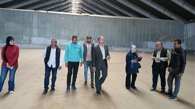 تموين الإسكندرية تستعد لاستقبال موسم توريد القمح 