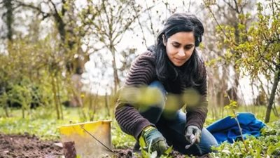 سبب عبقري سيجعلك تعيد استخدام ماء سلق البيض