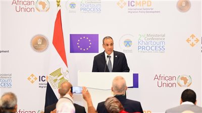 وزير الخارجية: مصر نجحت في القضاء على الهجرة غير الشرعية وفتحت أبوابها للمهاجرين والوافدين