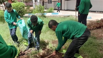 مدرسة الشهيد العميد محمد جمال نصاري تنظم معسكر نظافة وزراعة الأشجار بقنا 