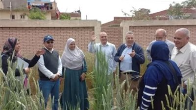 أنشطة ميدانية وبحثية مكثفة لمعهد بحوث أمراض النباتات خلال أبريل 2025