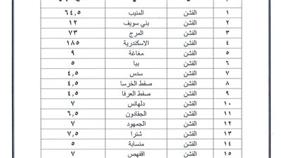 محافظ بني سويف يعتمد تعريفة الركوب الجديدة 