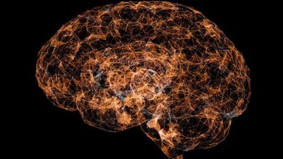 تصميم خريطة الشعور بالألم في المخ البشري 