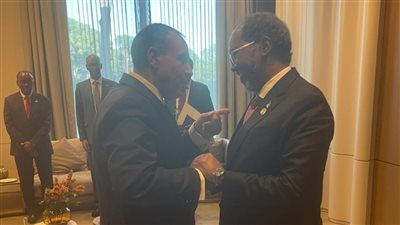 وزير الخارجية يلتقي مع الرئيس الصومالي
