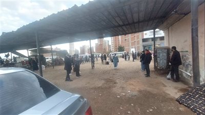 لليوم الثاني على التوالي .. الفوضى تسيطر على مواقف السيارات في الدقهلية