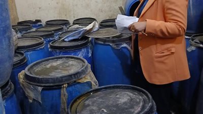 ضبط  5 طن أسماك وملح في حملة تموينية بالدقهلية