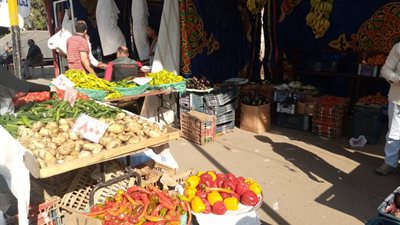 الدقهلية: استمرار أسواق اليوم الواحد يومي الجمعة والسبت كل أسبوع