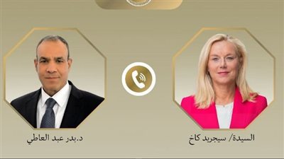 وزير الخارجية يؤكد ضرورة تقديم المجتمع الدولى الدعم لاستعادة الخدمات الأساسية فى غزة