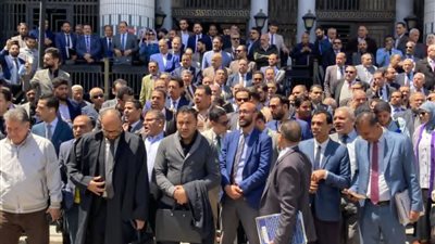 سبب زيادة الرسوم القضائية.. المحامين ينظمون وقفة احتجاجية بالإسكندرية 