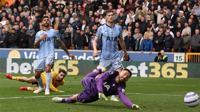 توتنهام يسقط برباعية أمام وولفرهامبتون بالبريميرليج