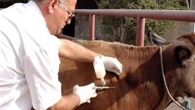 تنفيذ حملات التحصين والرقابة البيطرية الشاملة بالبحيرة