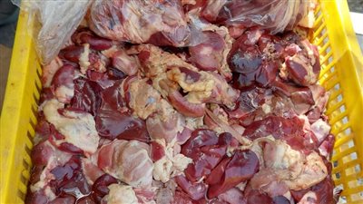 محافظ أسيوط: ضبط نصف طن لحوم غير صالحة للاستهلاك وتحرير 605 محضراً