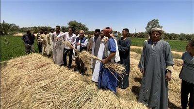البحوث الزراعية يبحث تدشين محطة بحثية في الفرافرة بالوادي الجديد