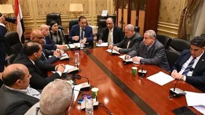 رياضة النواب توصي بتطوير وصيانة عدد من مراكز الشباب في الدقهلية 