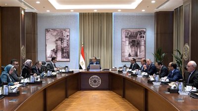 مدبولى يتابع مشروع سد ومحطة كهرباء 