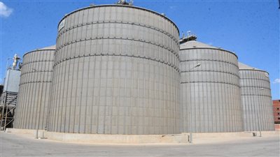 محافظ الغربية يرفع حالة الطوارئ استعدادًا لانطلاق موسم توريد القمح 