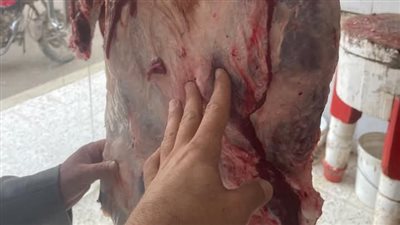 ضبط 2 طن لحوم وأسماك مجمدة مخالفة خلال حملات تفتيشية بمراكز الشرقية