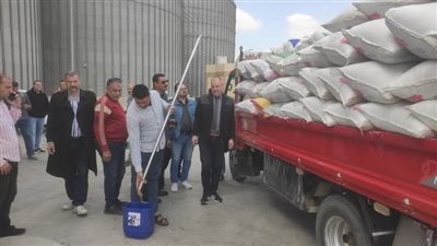 الشرقية: بدء استقبال موسم توريد القمح المحلي بسعة تخزينية 700 ألف طن 