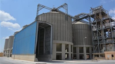 تجهيز 38 مركز تجميع لاستقبال محصول القمح بالدقهلية