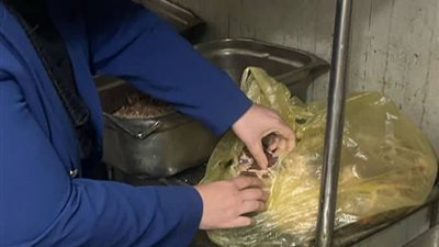 ضبط أسماك ولحوم غير صالحة للاستخدام الأدمي بالدقهلية