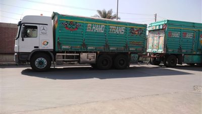 شون وصوامع المنيا تبدأ في استقبال الأقماح لموسم حصاد 2025