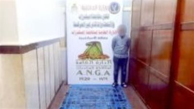  سقوط عنصر إجرامي قبل بيعه 30 كيلو حشيش لعملائه بالإسكندرية