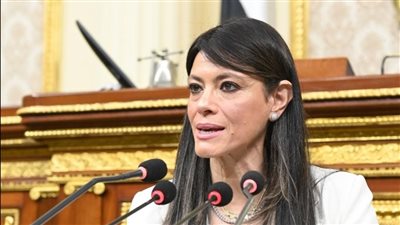 المشاط: 100 مليار جنيه استثمارات عامة لقطاع الكهرباء والطاقة المتجددة 