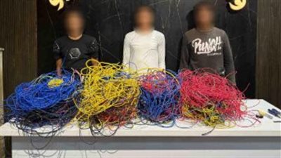  القبض على 3 عاطلين متهمين بسرقة الأسلاك الكهربائية في 15 مايو