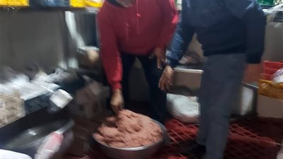 ضبط  14 طن رنجة وفسيخ ولحوم ودجاج مخالفة للمواصفات بالدقهلية 