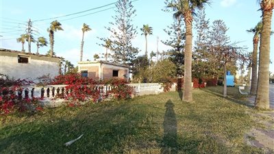 جمصة تتجمل لاستقبال زوارها وضيوفها خلال أعياد شم النسيم 