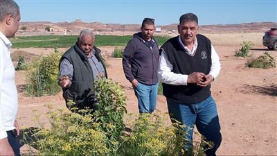 مبادرة بحوث الصحراء 