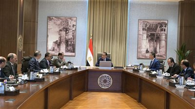 رئيس الوزراء يتابع ملفات العمل المشتركة بين وزارتي المالية والتموين