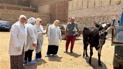 علاج وفحص 312 حيوان في قافلة بيطرية لبحوث الصحة الحيوانية بالجيزة