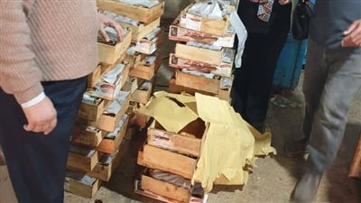 ضبط 8 طن أسماك مجمدة ومدخنة مُخالفة خلال حملات تفتيشية بالصالحية الجديدة