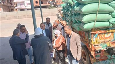 الدقهلية: بدء استقبال محصول القمح بالشون والصوامع بجميع مراكز المحافظة