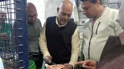 محافظ المنوفية: ضبط طن ونصف دواجن غير صالحة للاستهلاك الادمي بشبين الكوم