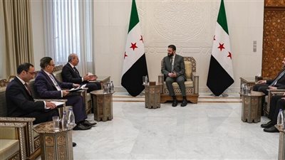 وزير الخارجية الأردني يبحث مع الشرع العلاقات الثنائية 