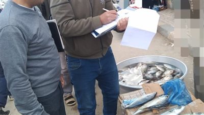 صحة البحيرة توجه ضربات قوية للمتلاعبين بالأغذية 