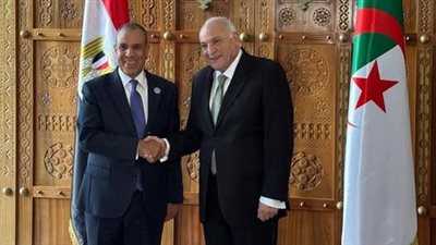 وزير الخارجية والهجرة يعقد جلسة مباحثات مع نظيره الجزائري