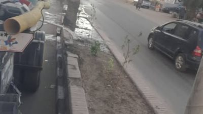 رفع 235 طن قمامة ومخلفات بلدية بالمنصورة